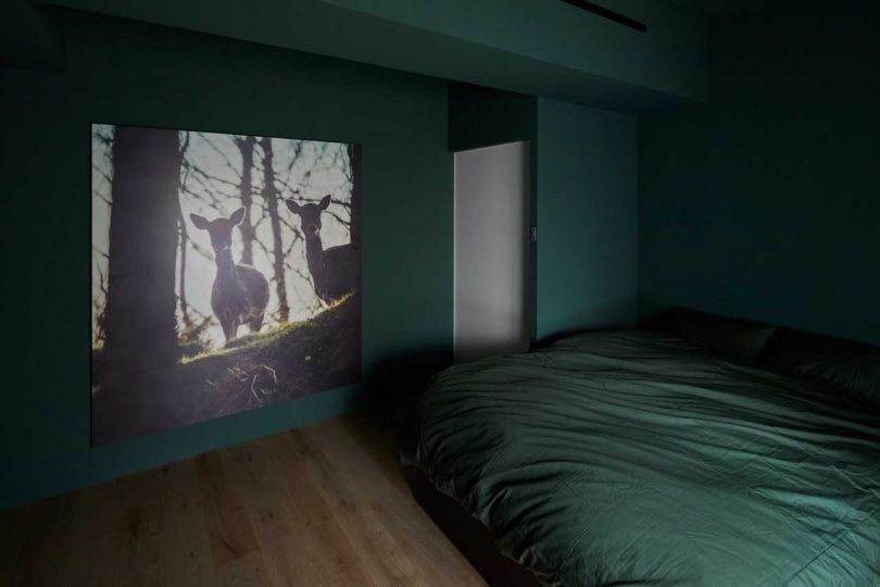 عکس داخلی آپارتمان مدرن در اتاق خواب سبز تیره