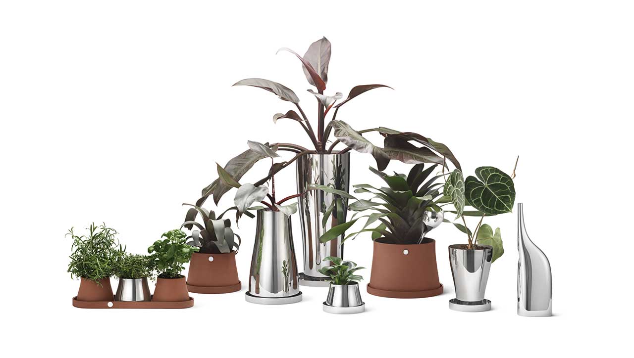 Rehome Your Plants with the Terra Collection