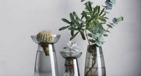 10 Modern Vases to Hold Everything From a Stem to a Bouquet