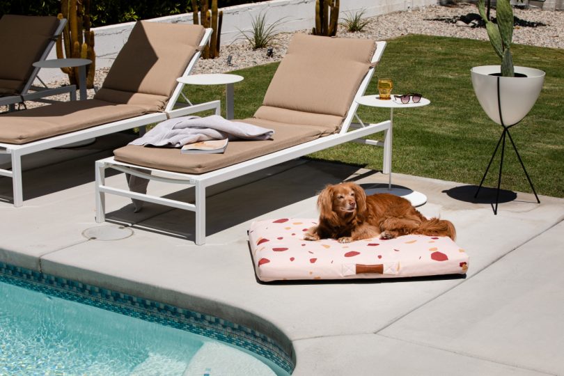 Dog laying on pink Terrazzo modern dog beds