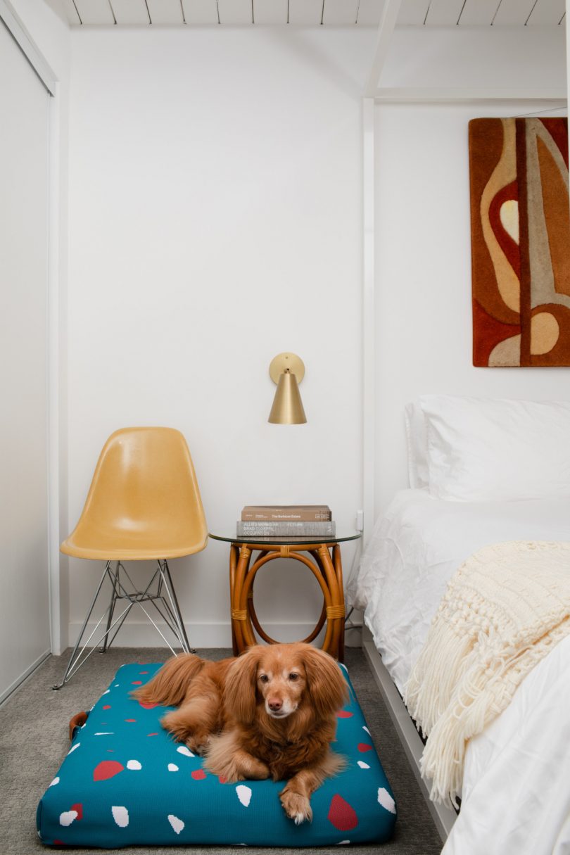 Teal modern dog beds in bedroom