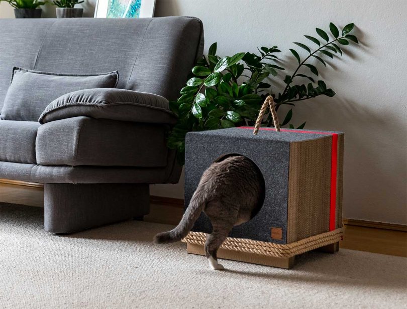 Mioou: Modern Cat Furniture Designed by an Architect