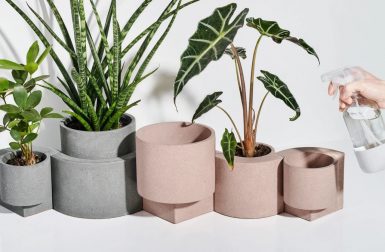 Take 5: Cool Planters, Art Chocolates, a Clickety-Clack Keyboard + More