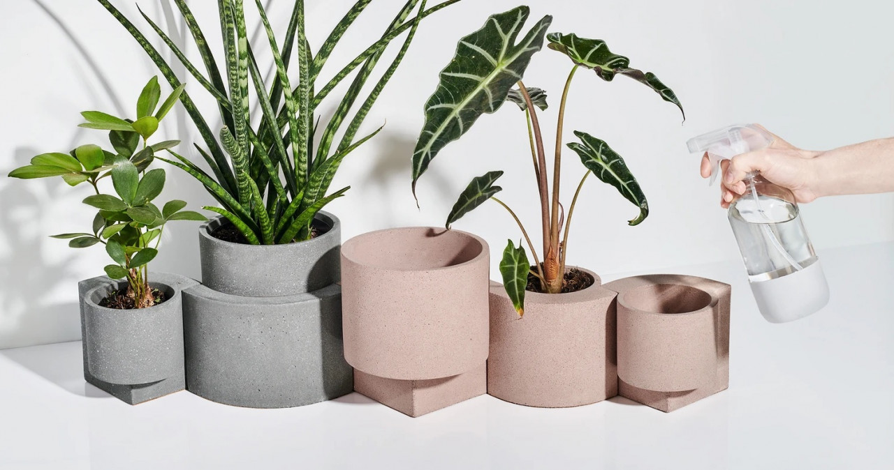 Take 5: Cool Planters, Art Chocolates, a Clickety-Clack Keyboard + More