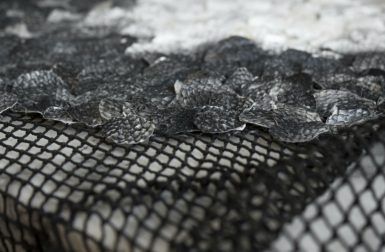 Studio Nienke Hoogvliet Turns Seaweed and Fish Skin into Rugs, Fabrics + Leather