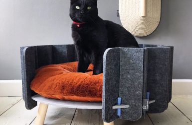 Pets and Pods Makes Modern Pet Furniture Cozy + Functional