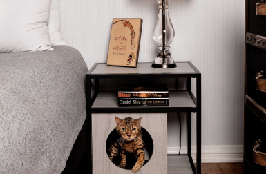 Modern Cat Furniture You and Your Pet Will Love