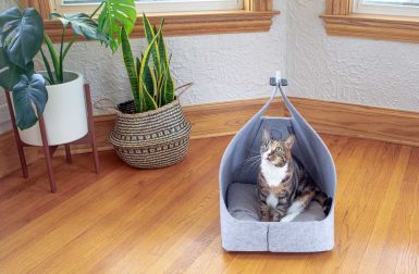 Up Your Pet's Nap Game With a Cozy New Bed