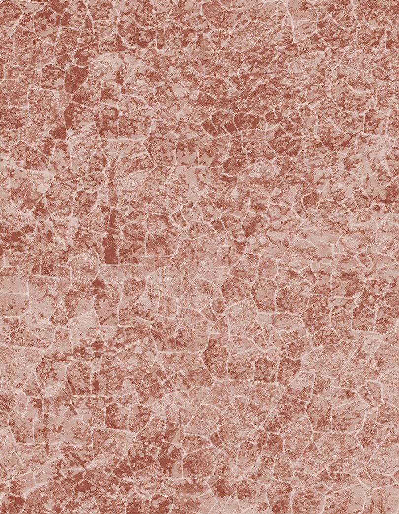 carpet closeup