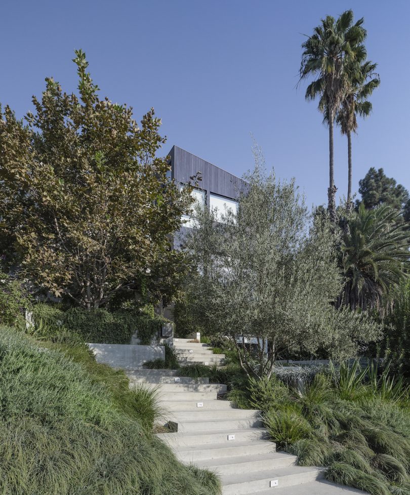 The Garden House in LA Balances Privacy With Full Immersion Into Nature