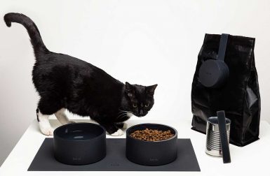 Elevate Your Pet's Mealtimes With the Modern MOGO Feeding Kit