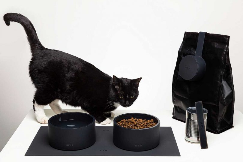Elevate Your Pet?s Mealtimes With the Modern MOGO Feeding Kit