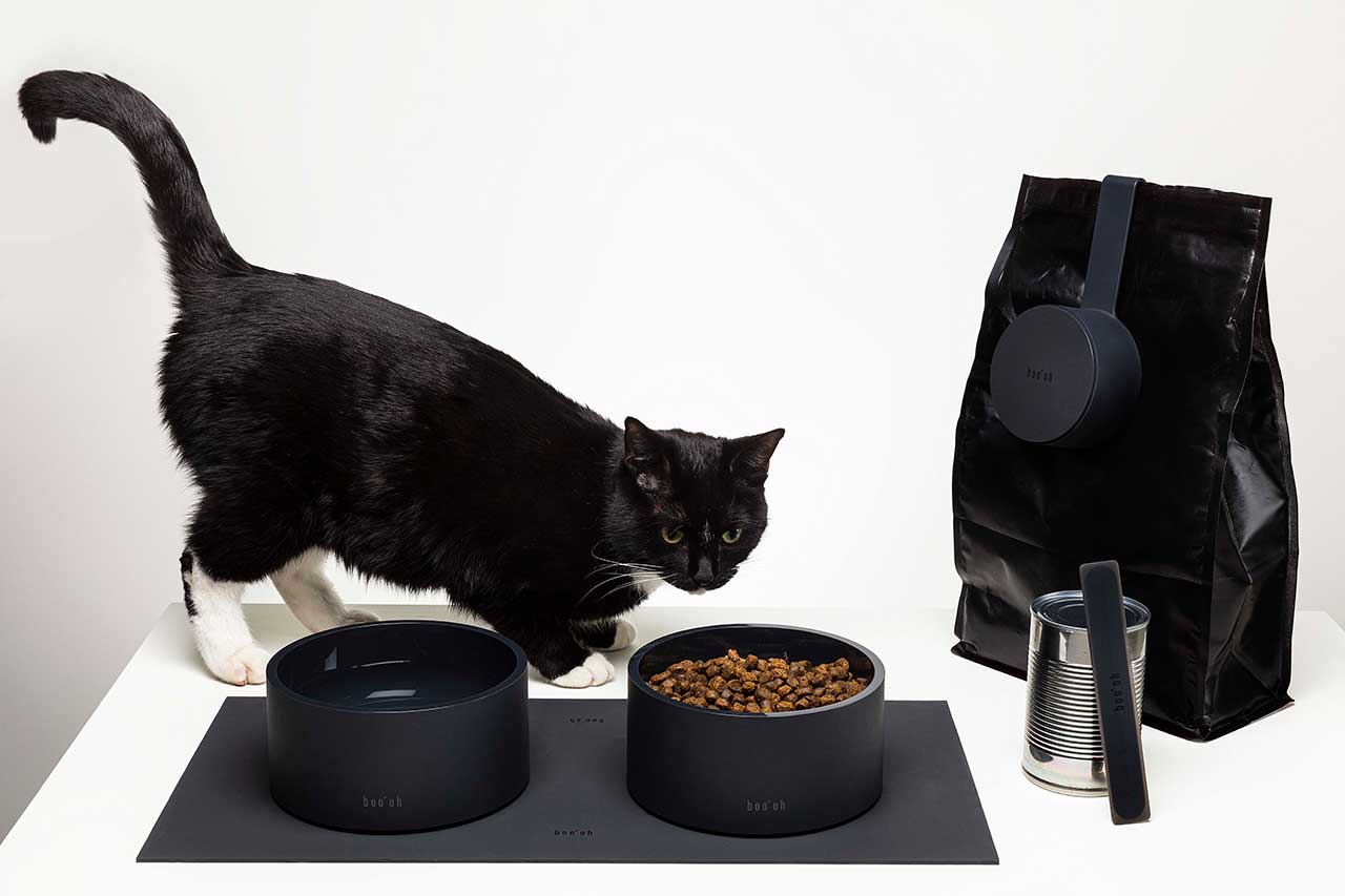 Elevate Your Pet’s Mealtimes With the Modern MOGO Feeding Kit