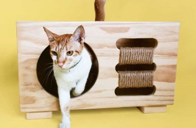 Modern, Multifunctional Furniture for Dogs + Cats Suitable for Any Room