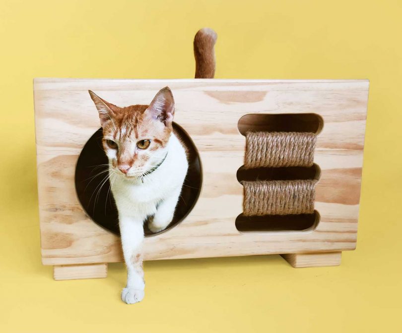 Modern, Multifunctional Furniture for Dogs + Cats Suitable for Any Room