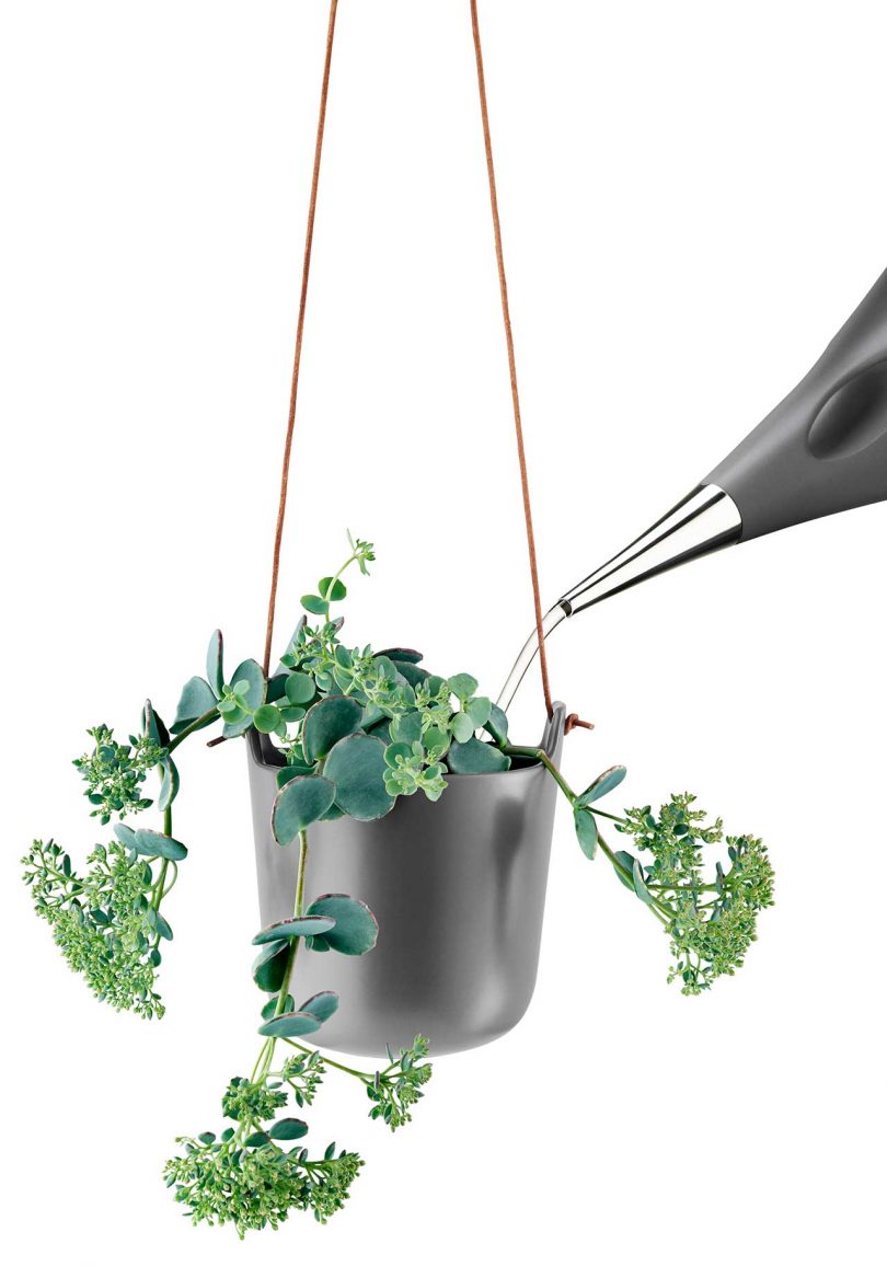 self-watering hanging planter