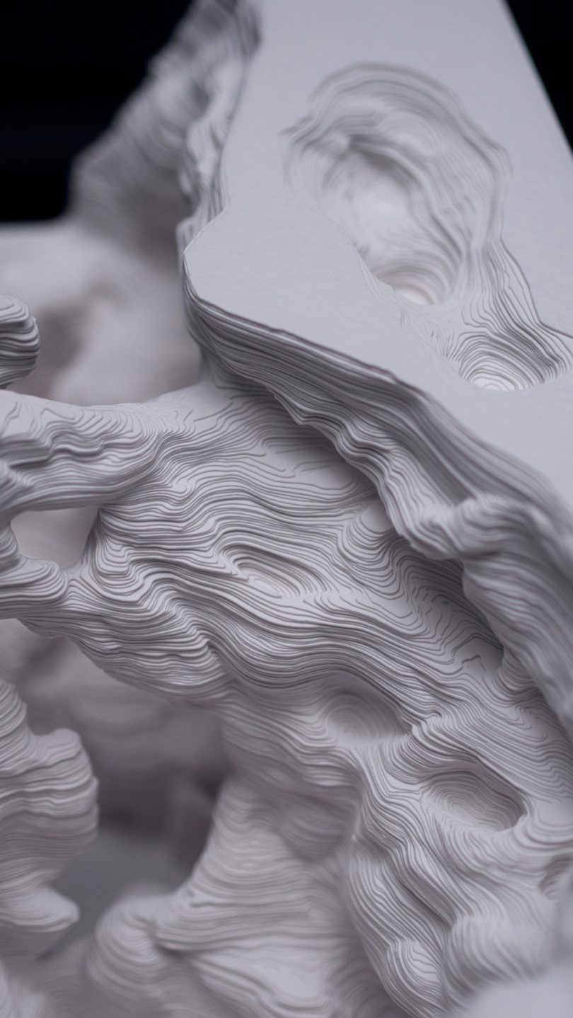detail of sculptural paper art