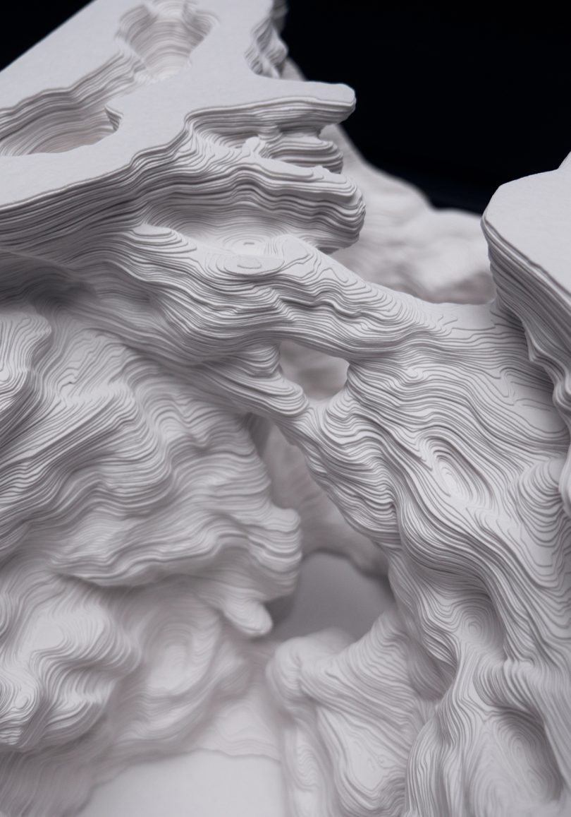 detail of sculptural paper art