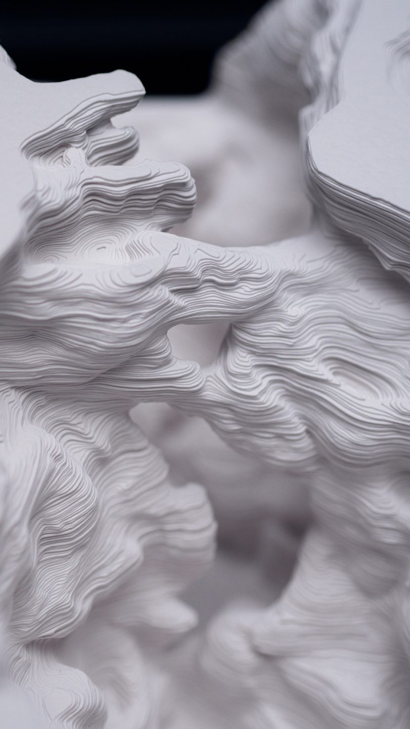 detail of sculptural paper art