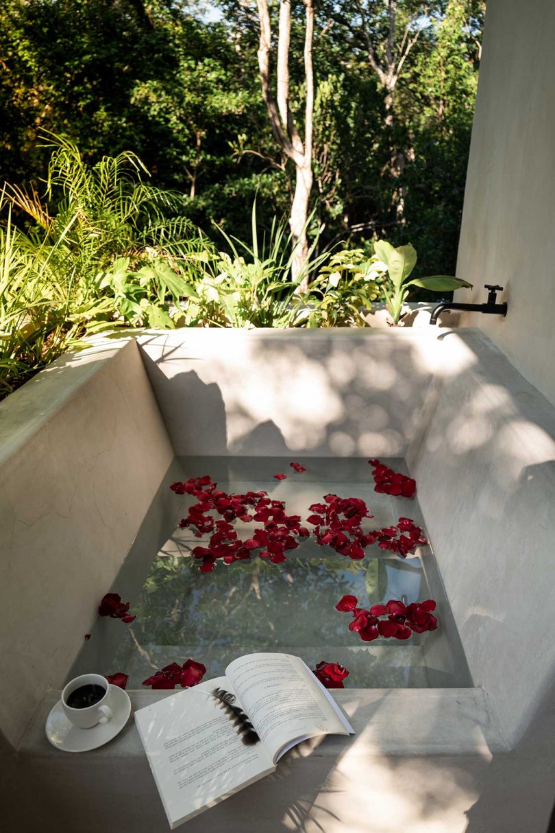 outdoor bathtub surrounded by plants
