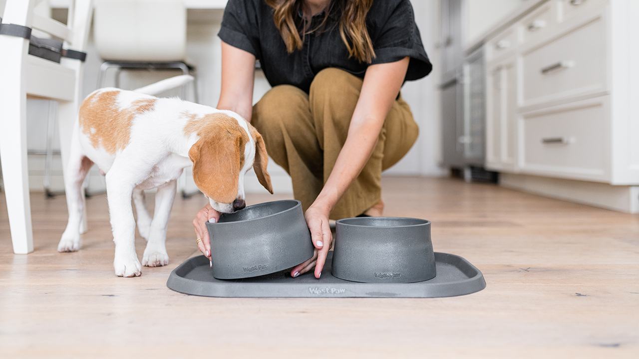 https://design-milk.com/images/2021/07/West-Paw-Seaflex-Collection-Woman-Feeding-Dog-in-Kitchen-Photo-Westway-Studio-Featured-Image.jpg