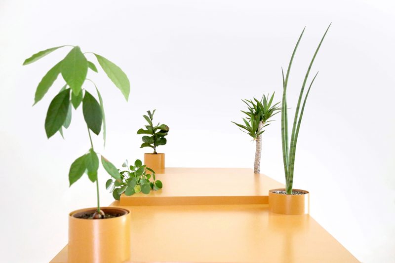 orange sculptural table with plants