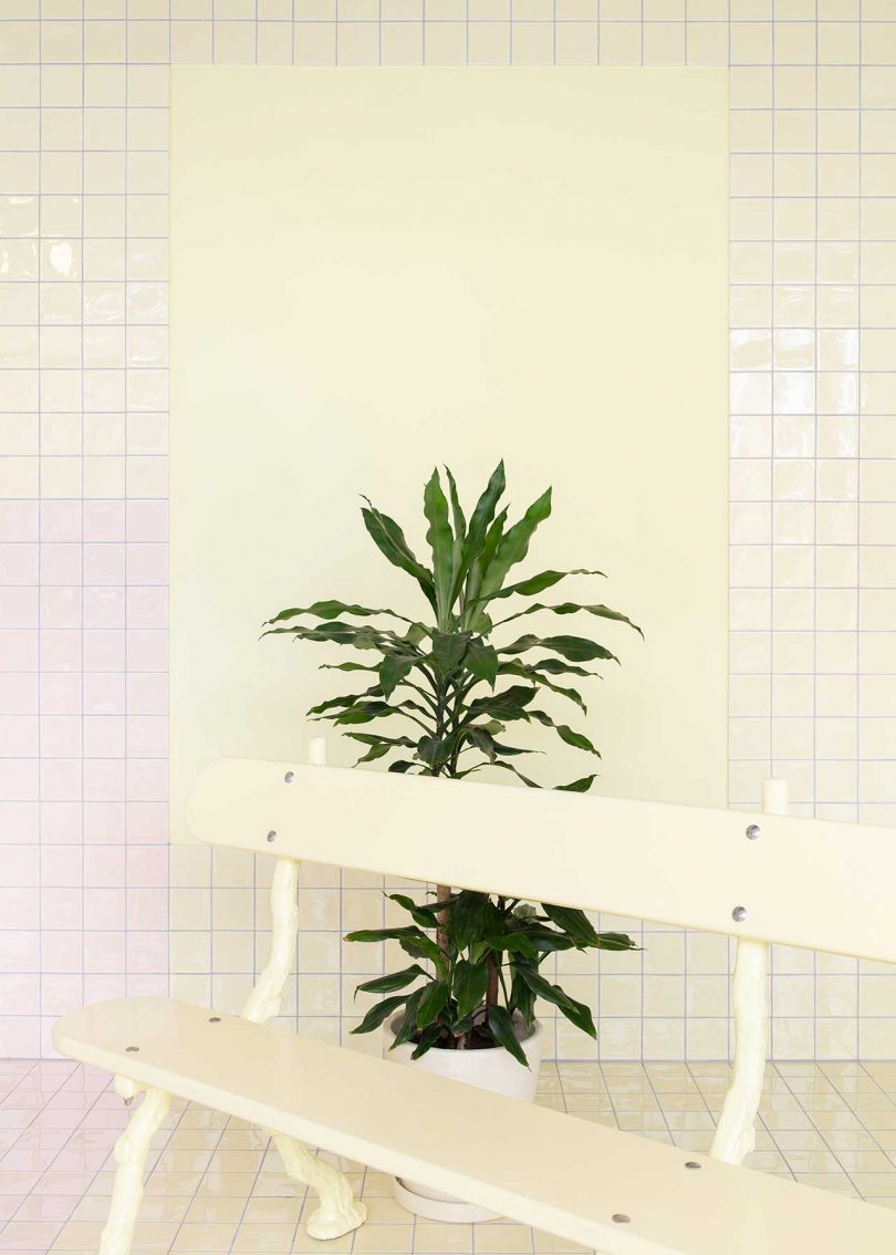 pastel tiled room with bench and plants