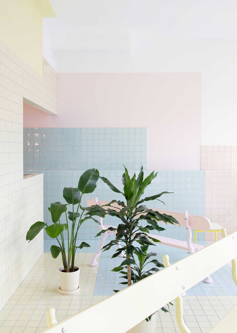pastel tiled room with benches and plants