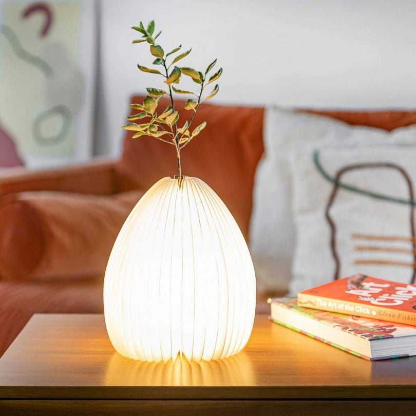 Smart Vase Light with vase holding branch