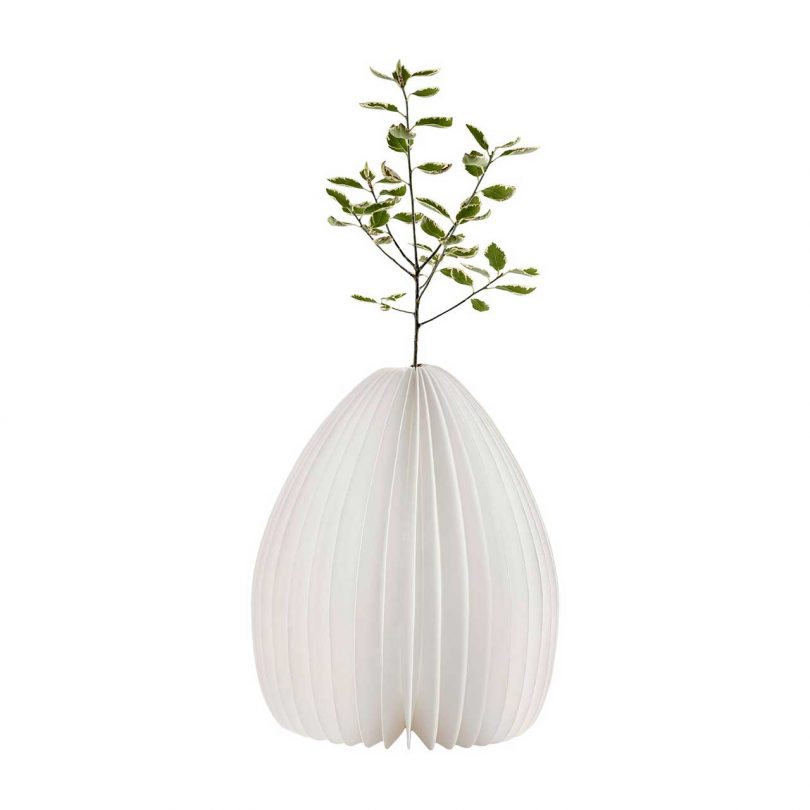 Smart Vase Light with vase holding a tree stem