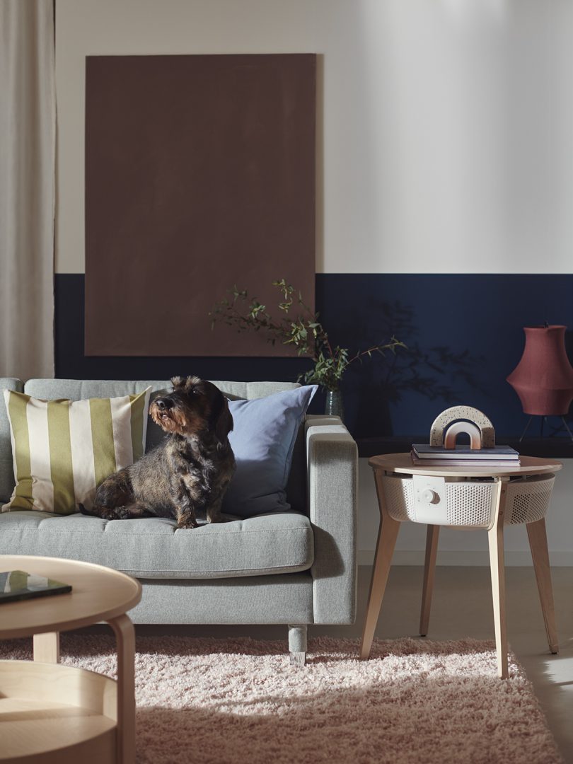 IKEA STARKVIND air purifier with dog on sofa