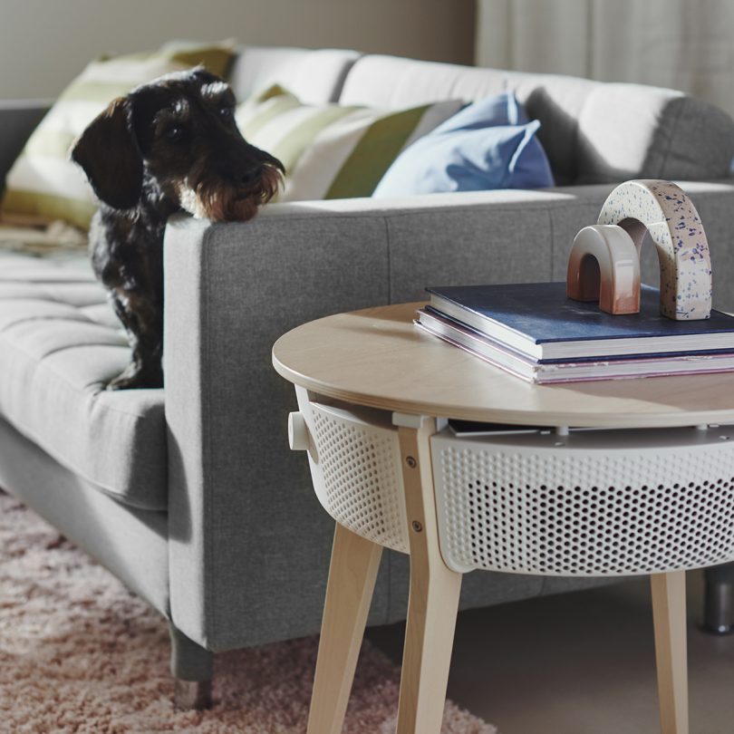 Dog on sofa looking at IKEA STARKVIND air purifier side table.