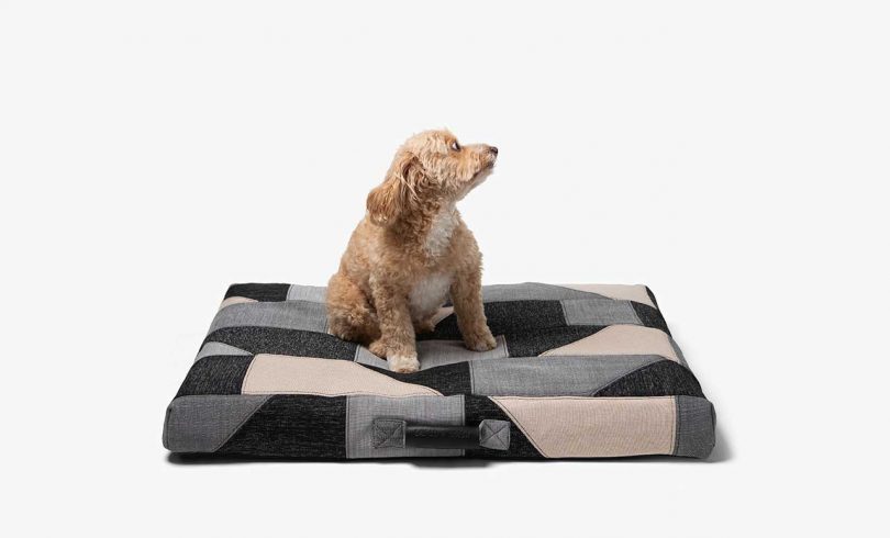 patchwork dog bed with dog on it