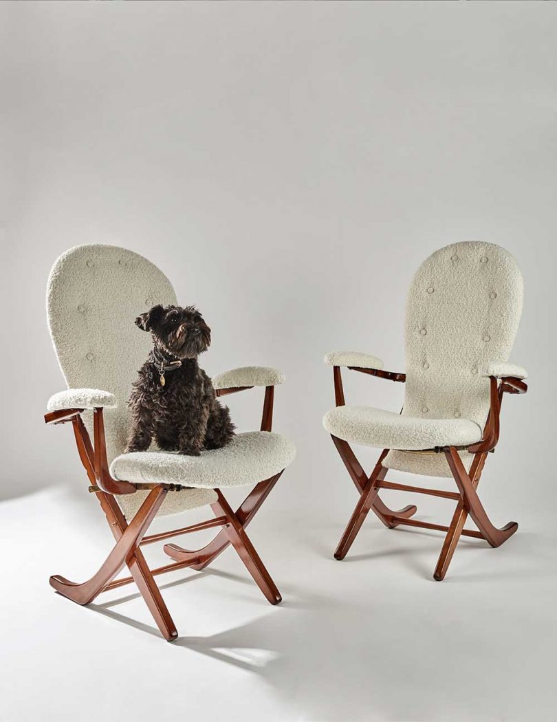 dog sitting on one of two white chairs