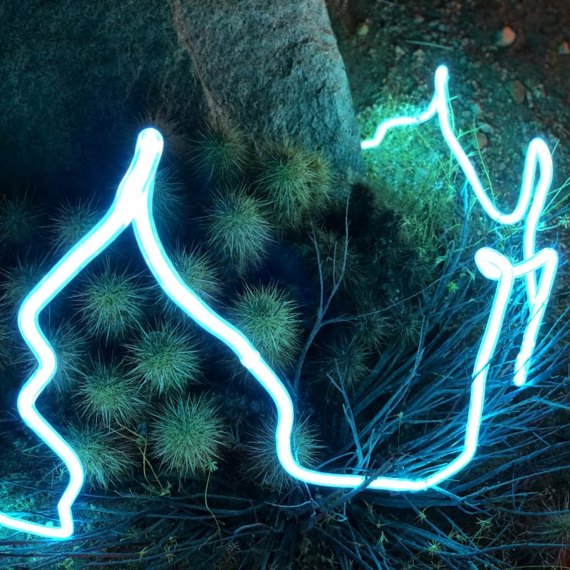 neon light in nature