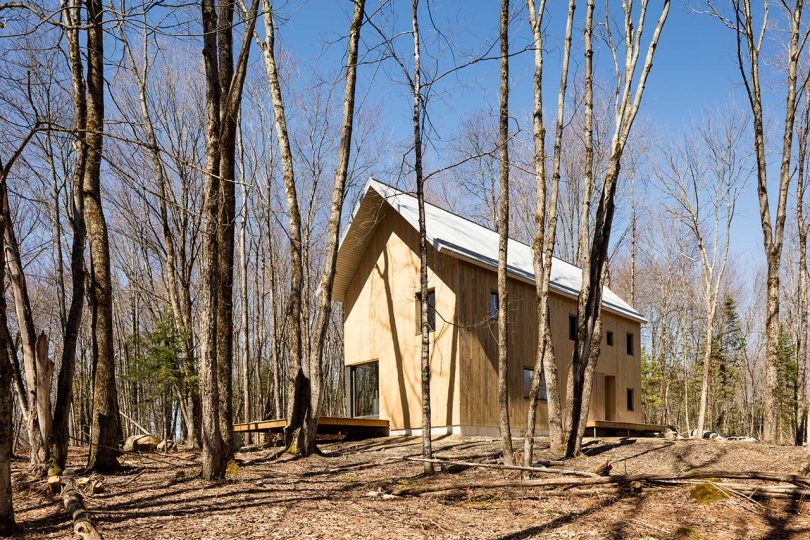 exterior view of entire modern wooden cabin in forest