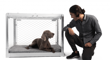 Meet Revol: The Dog Crate That Combines Form + Function