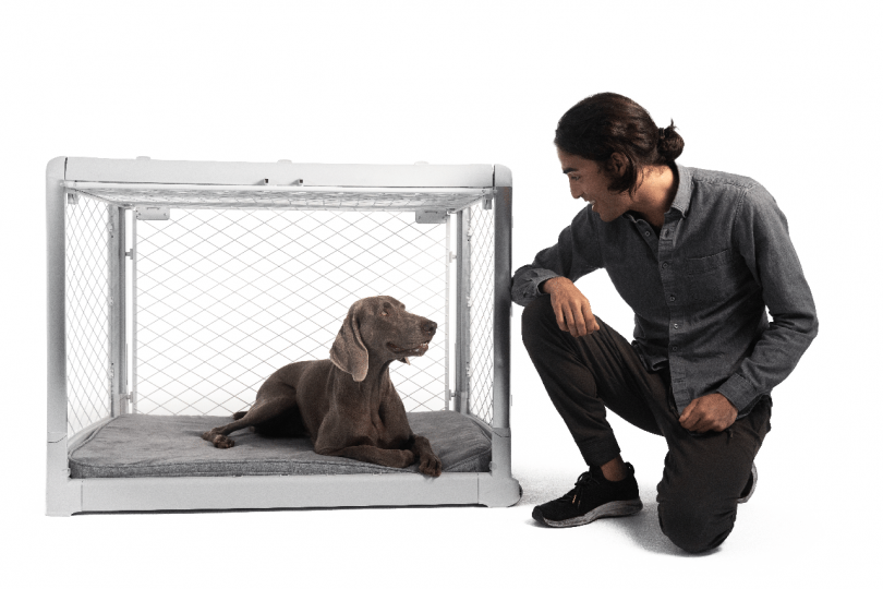 Meet Revol: The Dog Crate That Combines Form + Function