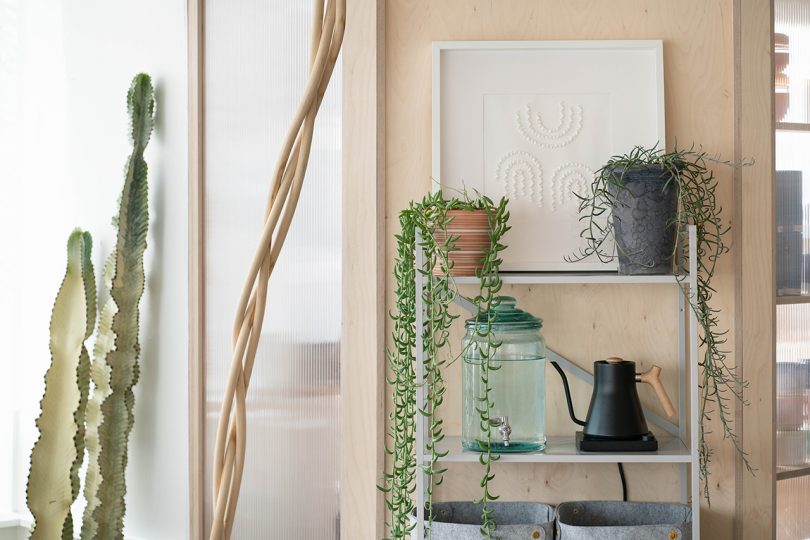 shelves with plants and kitchen pieces