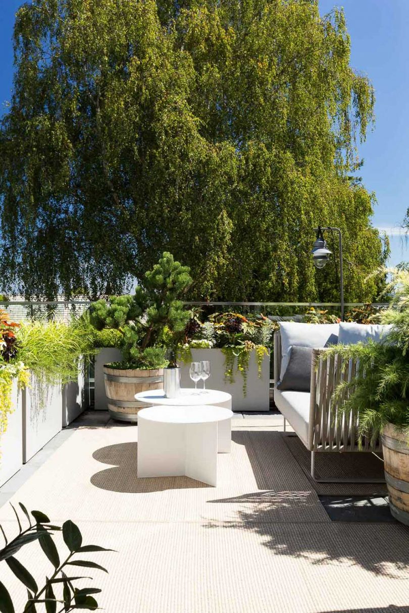 rooftop terrace with seating and plants