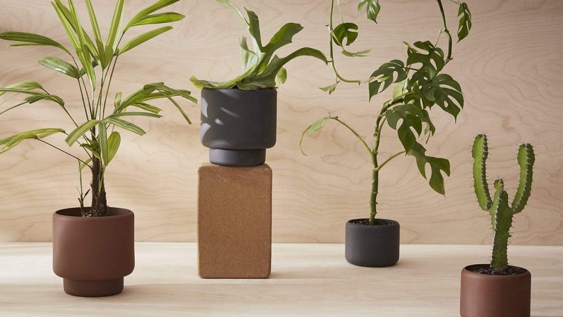 New Conscious Design by Aaron Probyn Elevates Your Everyday