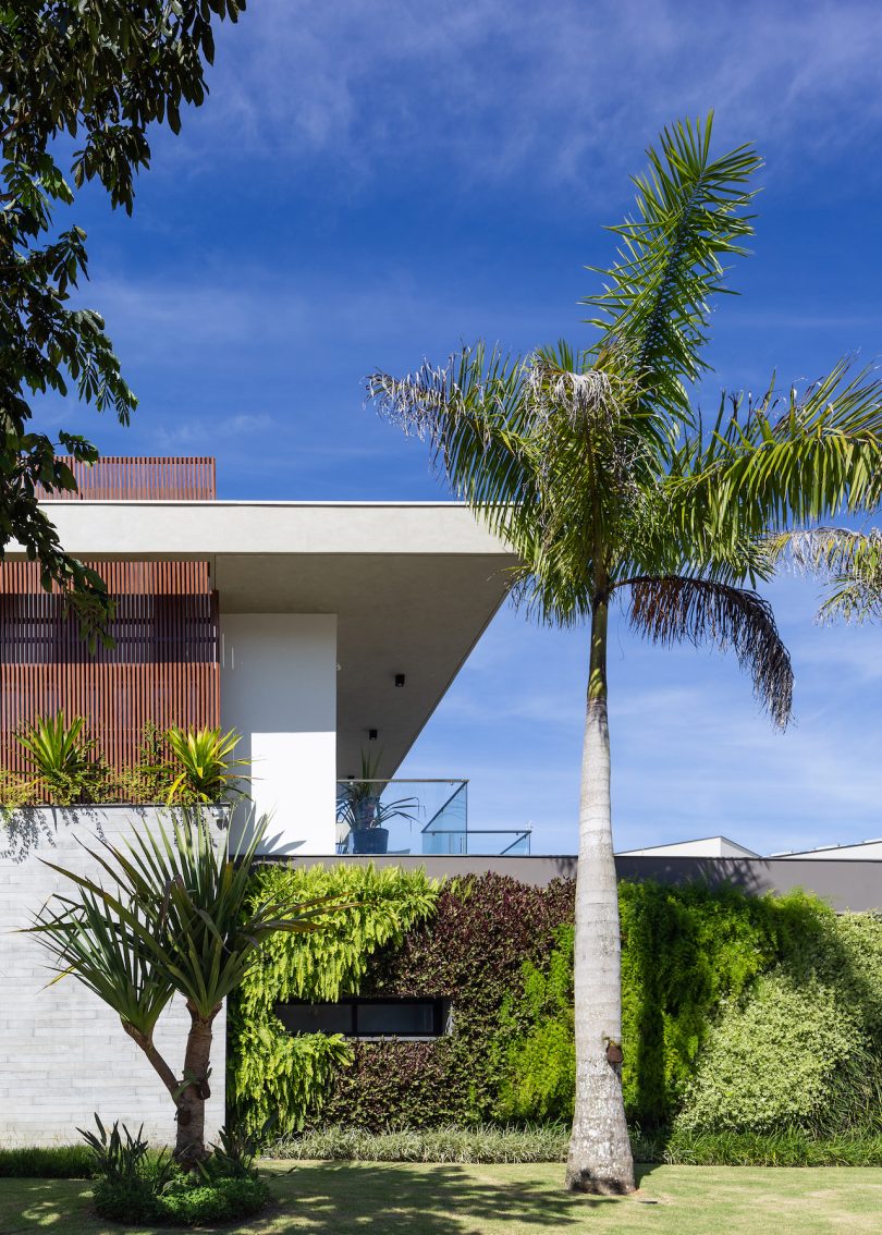 living green wall