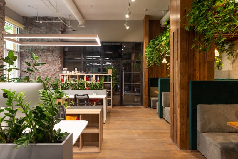 A Restaurant Office Gets a Makeover With Lush Greenery + Natural Materials
