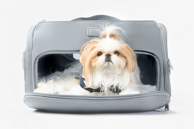 white and tan dog laying inside pet carrier with side open