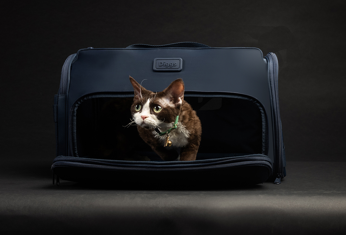 Bring Your Pet Along Safely With Diggs’ Passenger Carrier