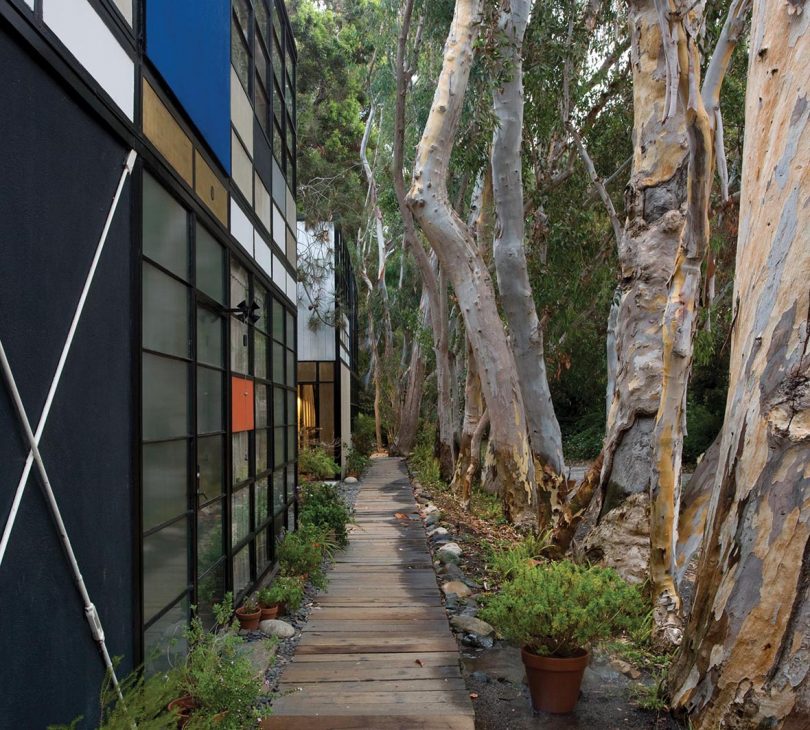 Eames House on the left with eucalyptus tree on the right with wooden boardwalk in the center.