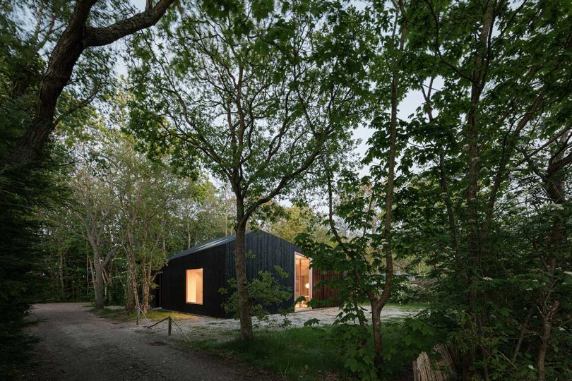 exterior view of dark modern cabin in woods