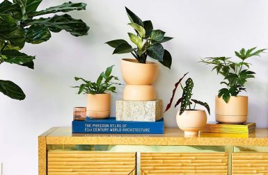 Greenery Unlimited Makes Planters for the Botanically Challenged