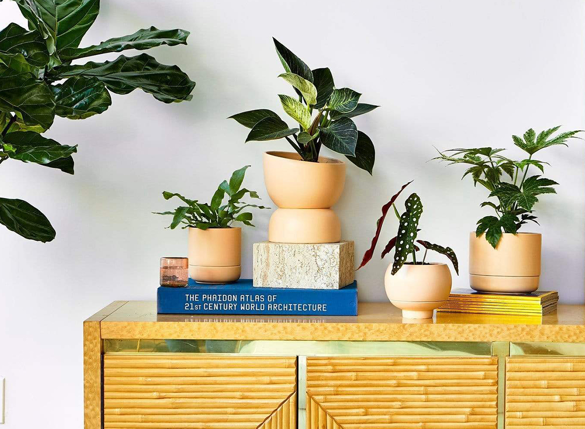 Greenery Unlimited sells collection of biophilic design planters and pots for easy care | padstyle.com