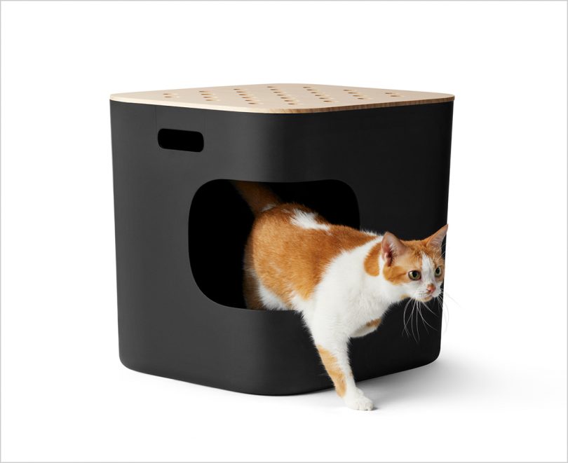 cat emerging from black and wood enclosed litter box